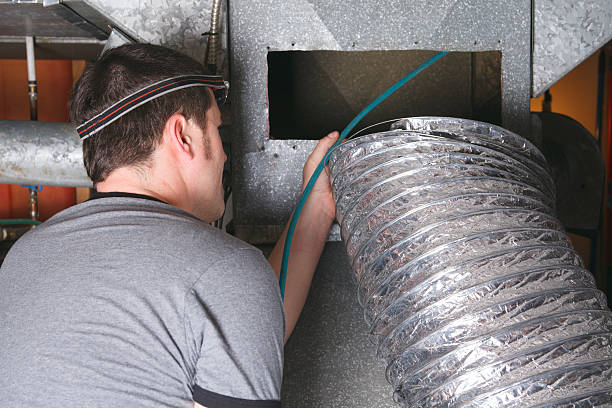 Best Dryer Vent Cleaning Services  in Shields, MI