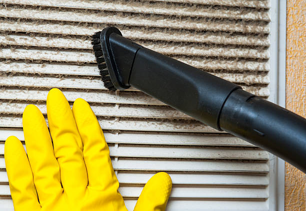 Best Home Air Vent Cleaning  in Shields, MI